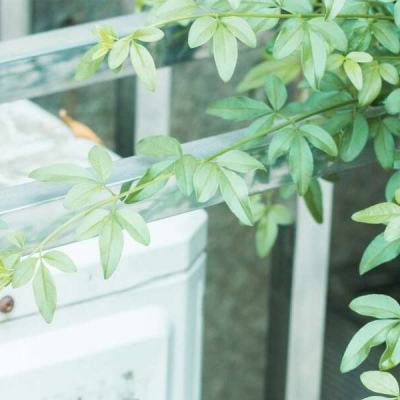 leyu·乐鱼app下载截图